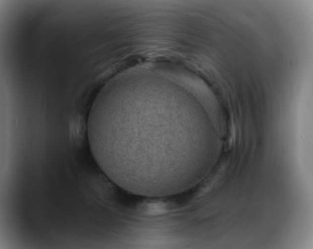 X0000088870228200706151759