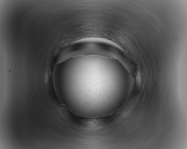 X0000088870229200706151759