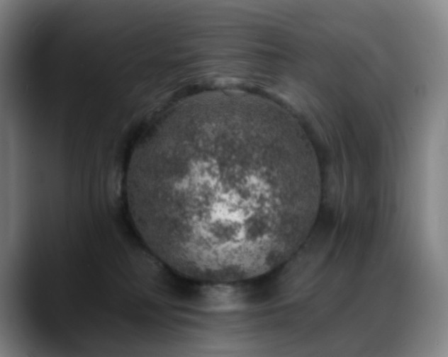 X0000088870230200706151759