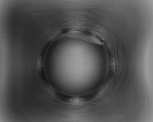 X0000088870231200706151759