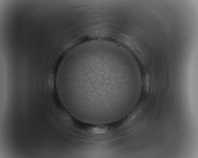 X0000088870232200706151759