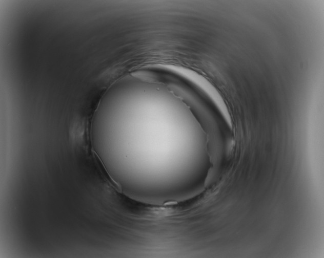 X0000088870233200706151759