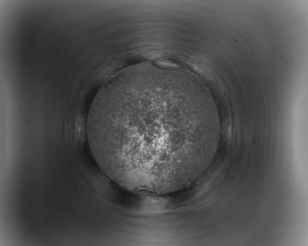 X0000088870234200706151759