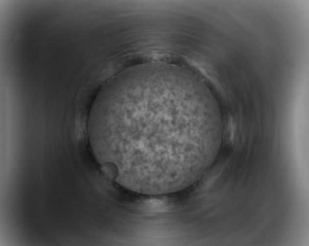 X0000088870236200706151759