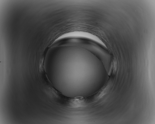 X0000088870239200706151759
