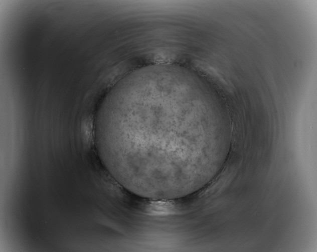 X0000088870240200706151759