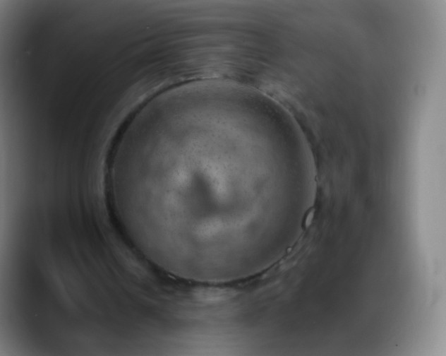 X0000088870242200706151758