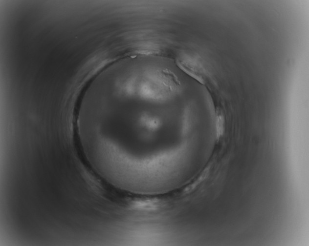 X0000088870243200706151758
