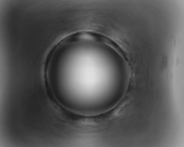 X0000088870244200706151758