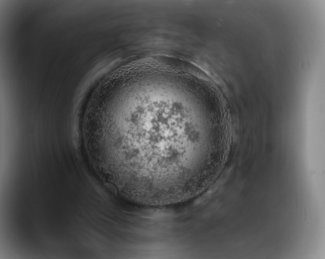 X0000088870245200706151758
