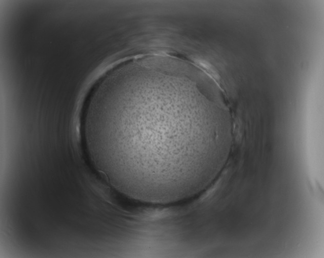 X0000088870246200706151758