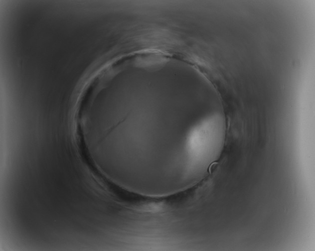 X0000088870247200706151758
