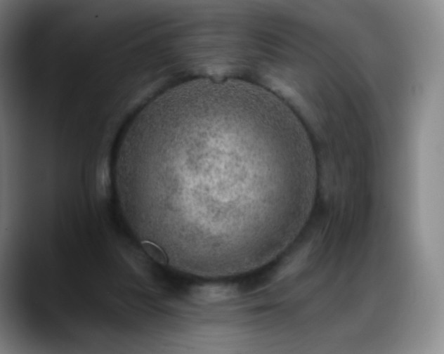 X0000088870251200706151758