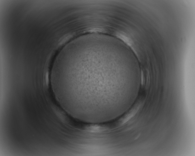X0000088870253200706151758