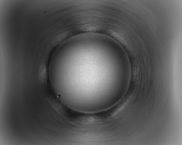 X0000088870254200706151758