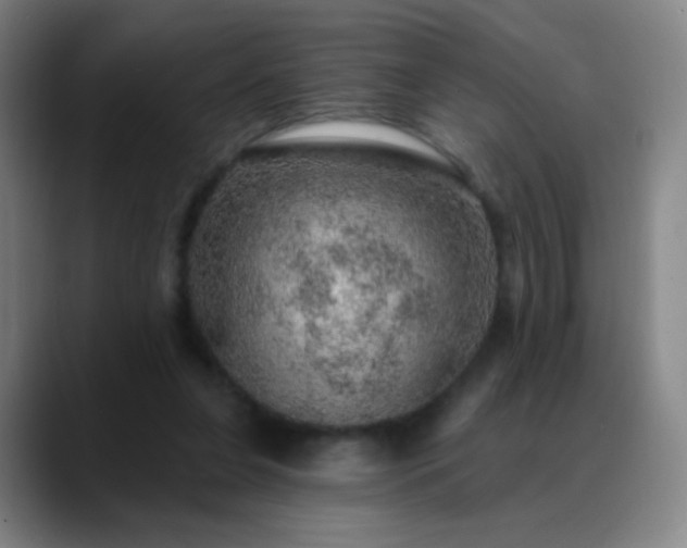 X0000088870255200706151758