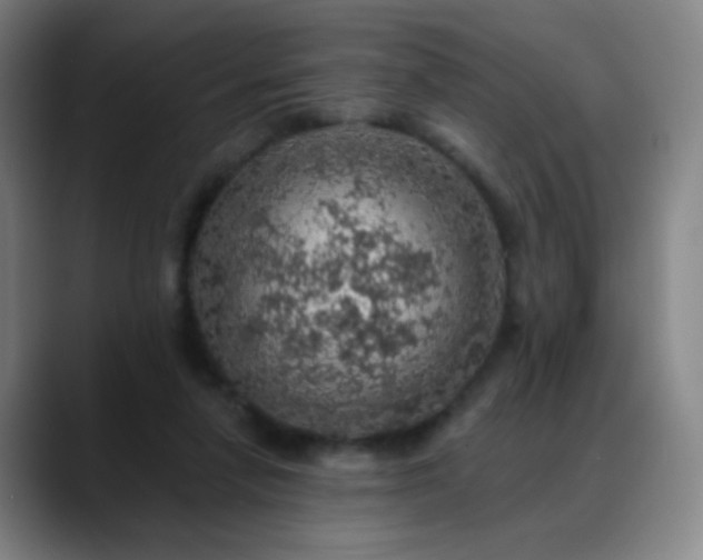 X0000088870258200706151759