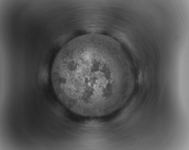 X0000088870259200706151759
