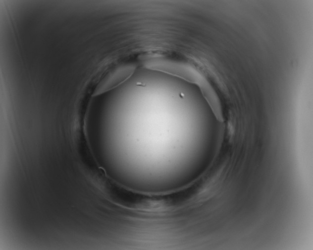 X0000088870260200706151759