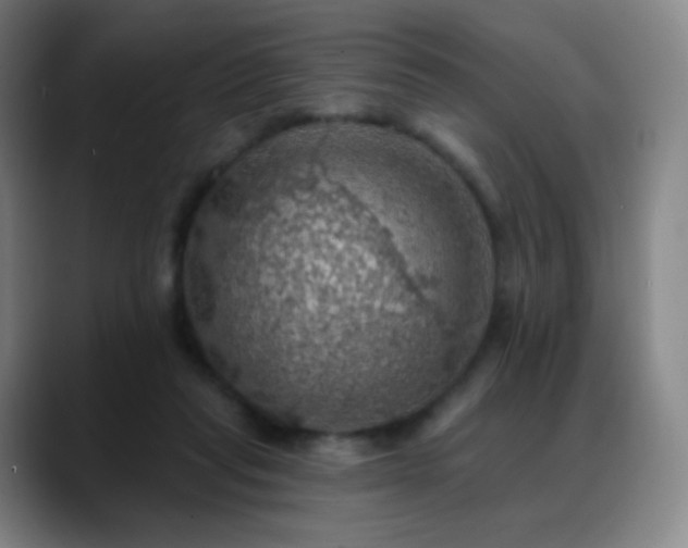 X0000088870261200706151759