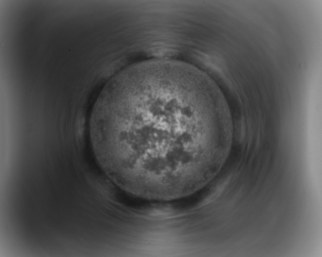X0000088870263200706151759