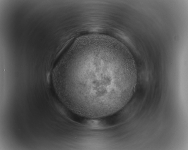 X0000088870265200706151759