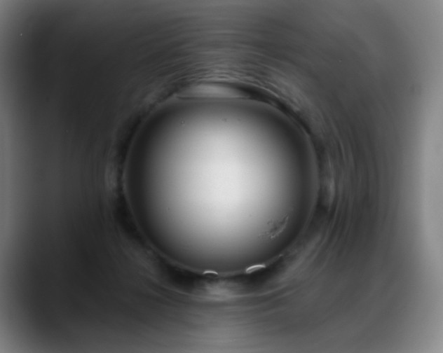 X0000088870268200706151759