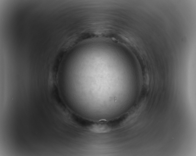 X0000088870272200706151759