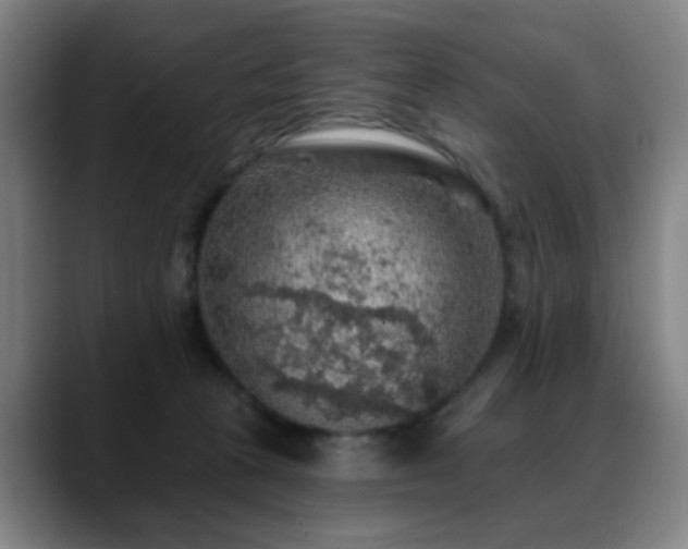 X0000088870273200706151759