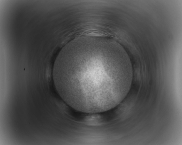 X0000088870274200706151759
