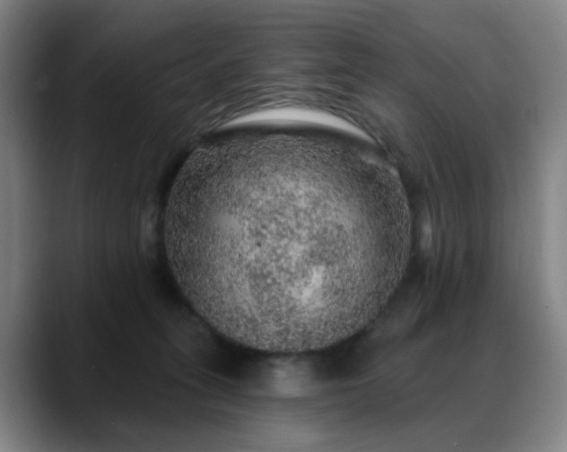 X0000088870275200706151759