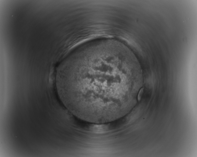 X0000088870277200706151759