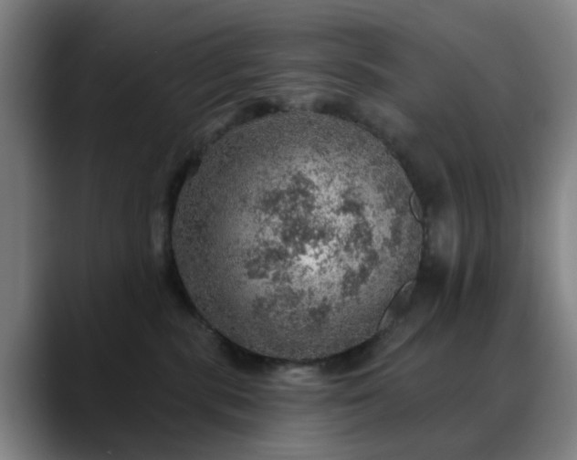 X0000088870283200706151759