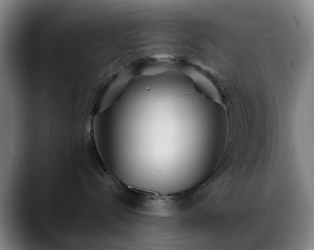 X0000088870288200706151759
