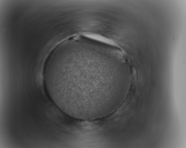 X0000088870290200706151758