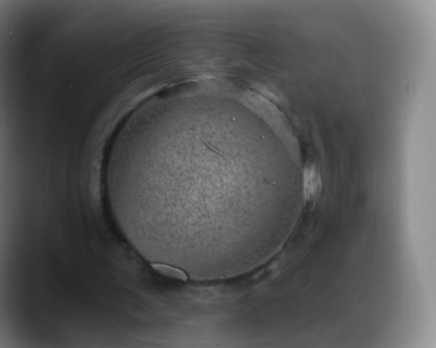 X0000088870291200706151758