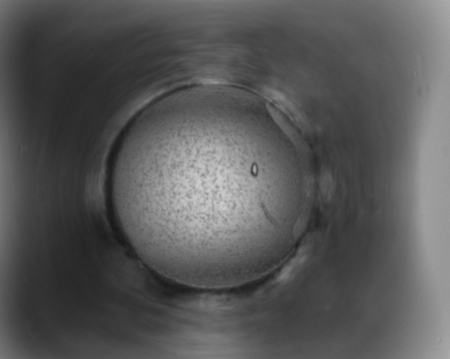 X0000088870292200706151758