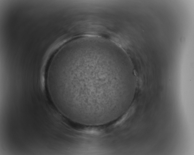 X0000088870294200706151758