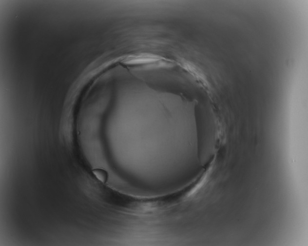 X0000088870295200706151758