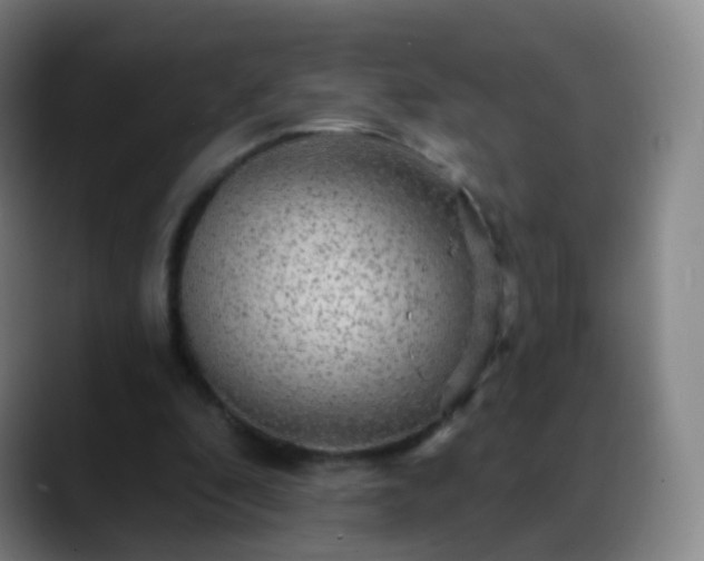 X0000088870296200706151758