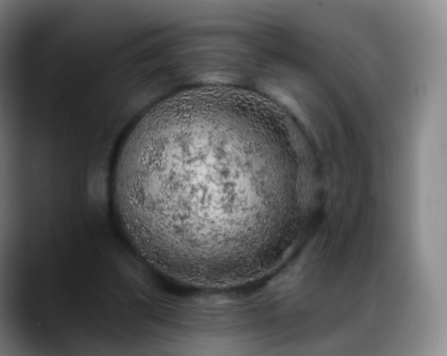 X0000088870299200706151758