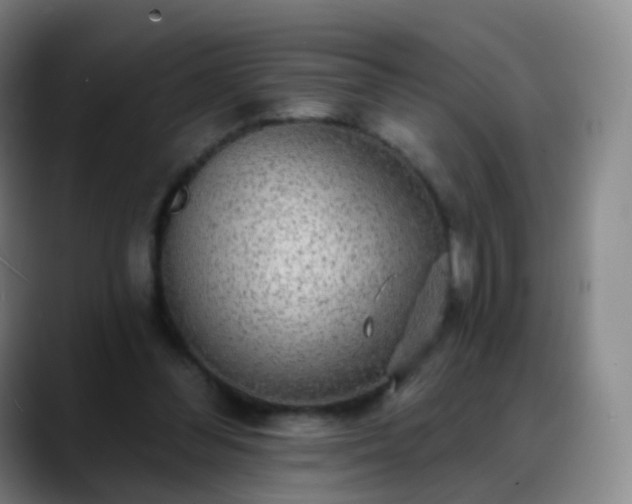 X0000088870300200706151758