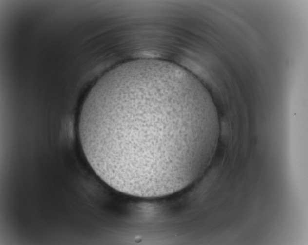 X0000088870302200706151758