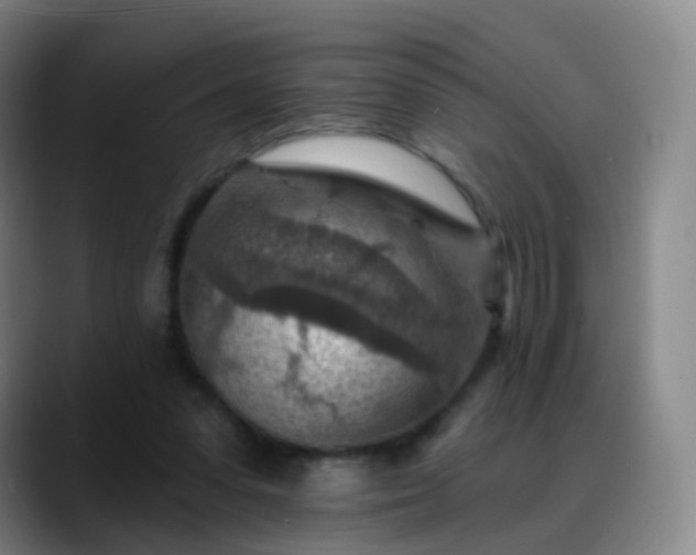 X0000088870303200706151758