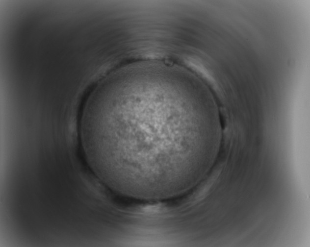 X0000088870306200706151758
