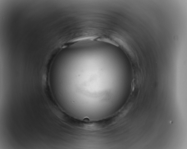X0000088870309200706151758