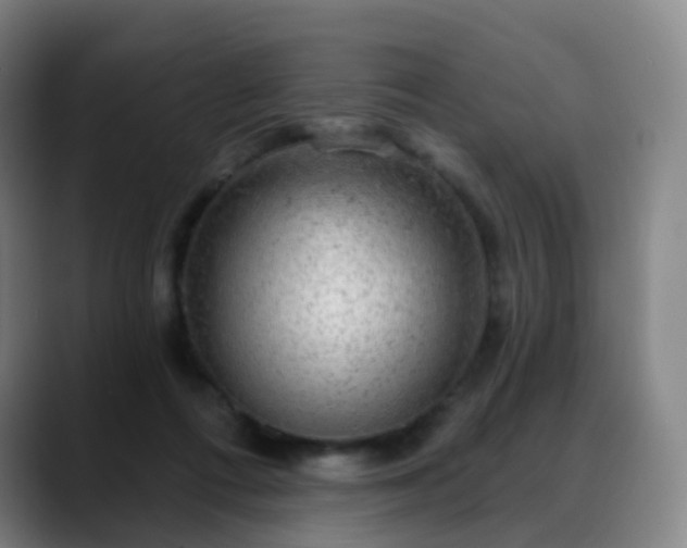 X0000088870312200706151758