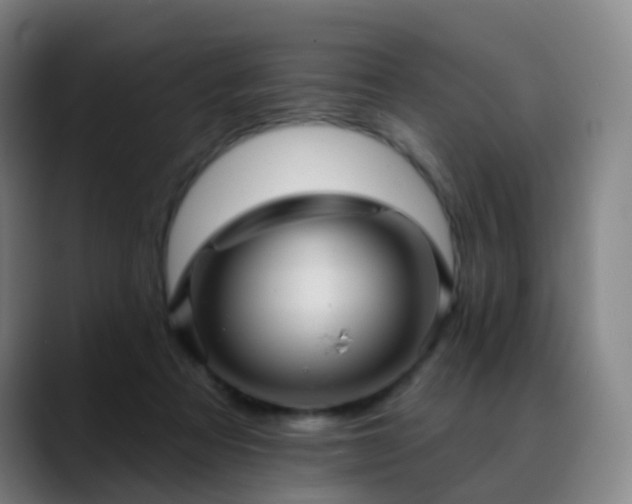 X0000088870313200706151758