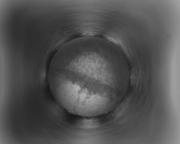 X0000088870314200706151758