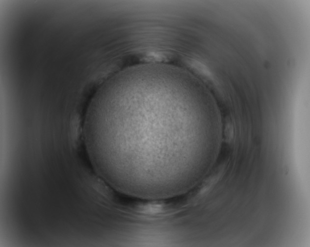 X0000088870318200706151758